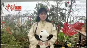 “熊猫姐姐”李子柒为“大熊猫”频道送祝福,网友大赞:太有心了!